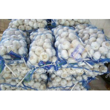 Chinese Fresh garlic vegetables